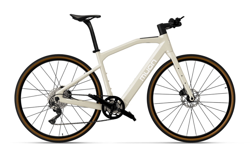 Muon Fermion Pro